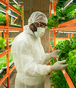 Engenharia Ambiental e Sanitária